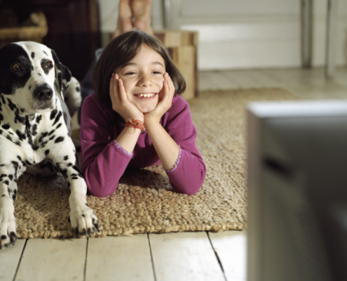 Do Dogs Actually Watch And React To Television?