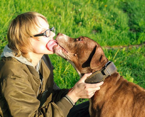 Why do dogs lick?