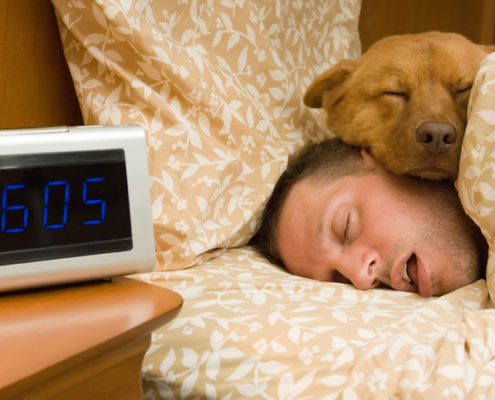 Should Your Dog Sleep in Bed With You?