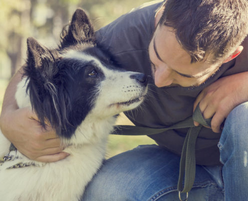 Foundation Training. The building blocks to your Dogs Life