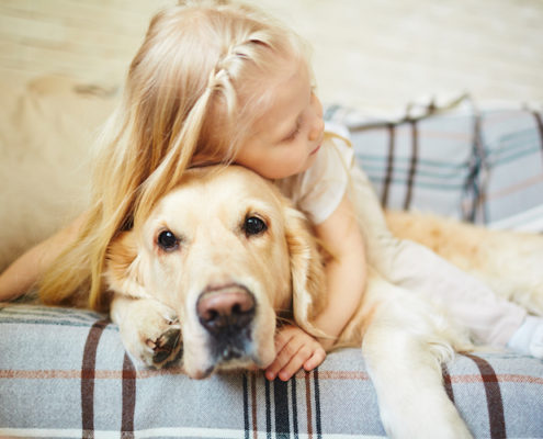 When To Say Goodbye to Your Dog