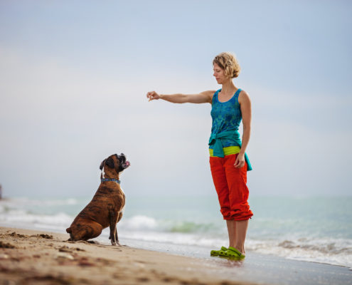 Dog Training. What works, And What Doesn't