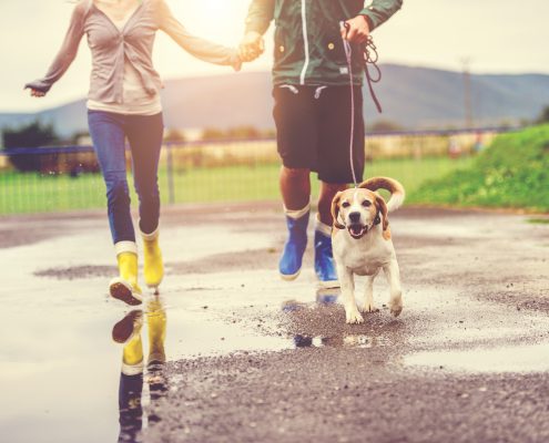 Why Walking Your Dog is Great Exercise