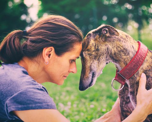 5 Unexpected Reasons Why Dogs Don’t Like Certain People