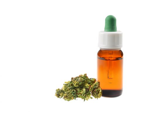 7 Reasons Pet Owners Are Turning To CBD Oil