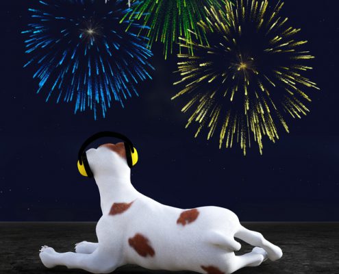 Fireworks Safety Tips for Pets