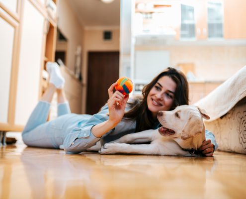 Why Do Dogs Bring You Their Toys to Greet You