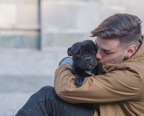 Ways Pets Support Mental Health