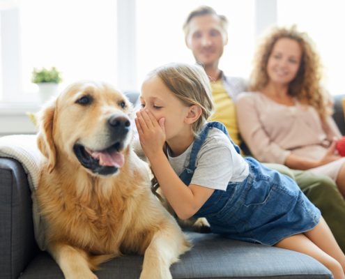 People Who Talk To Their Pets Are Smarter Than Those Who Don’t