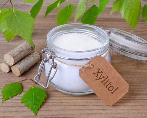 Xylitol, the Deadly Sweetener Capable of Killing Your Dog Within 24 Hours