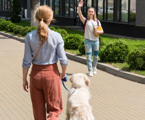 Stranger Danger’ Reduce Your Dog’s Anxiety When Meeting People
